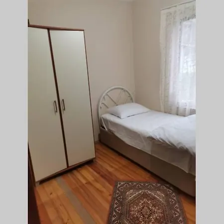 Sapanca Golune Sifir Mustakil Bahceli Ev *